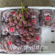 Chinese Good Quality Fresh Purple Global Grape